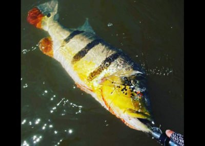 Puerto Carreño Acampando Zona alta