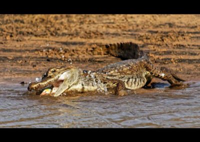 Puerto Carreño Acampando Zona alta