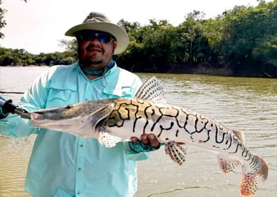 Puerto Carreño Acampando Zona alta
