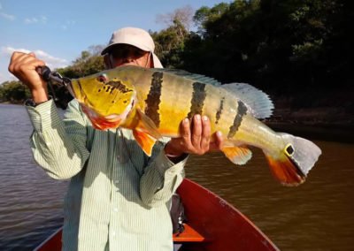 Puerto Carreño Zona baja