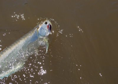 Puerto Carreño Acampando Zona alta